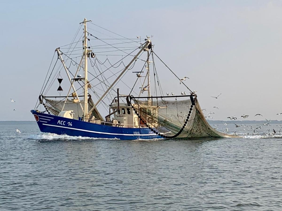 Nordsee Ferienhaus 9 Personen Schillig Dış mekan fotoğraf